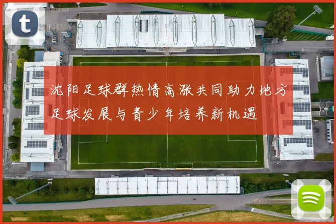 沈阳足球群热情高涨共同助力地方足球发展与青少年培养新机遇