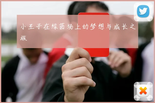 小王子在绿茵场上的梦想与成长之旅