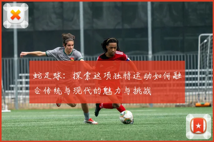 蛇足球：探索这项独特运动如何融合传统与现代的魅力与挑战