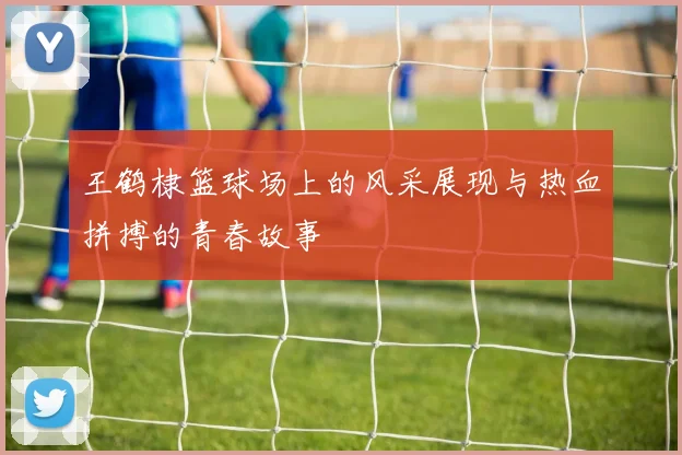 王鹤棣篮球场上的风采展现与热血拼搏的青春故事