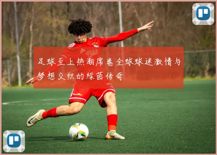 足球至上热潮席卷全球球迷激情与梦想交织的绿茵传奇