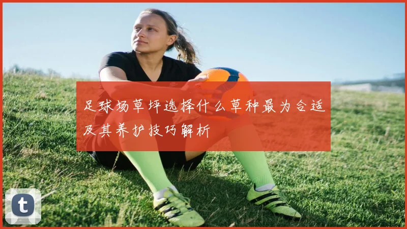 足球场草坪选择什么草种最为合适及其养护技巧解析