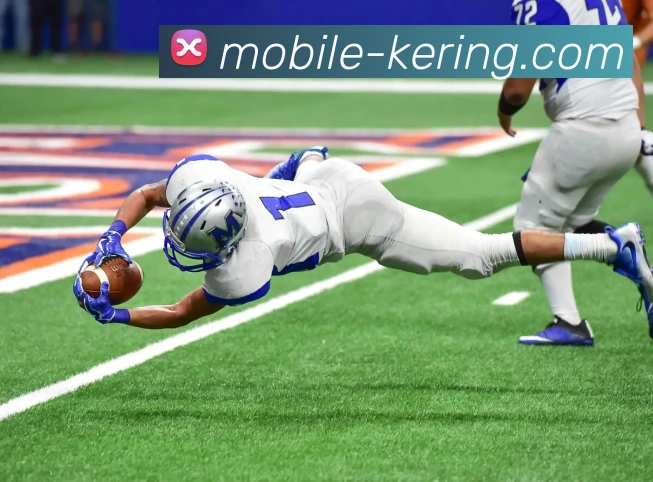 开云娱乐平台平台生态图