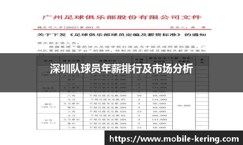 深圳队球员年薪排行及市场分析